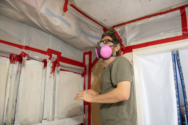 Best Mold Removal for HVAC Installations  in Camanche, IA