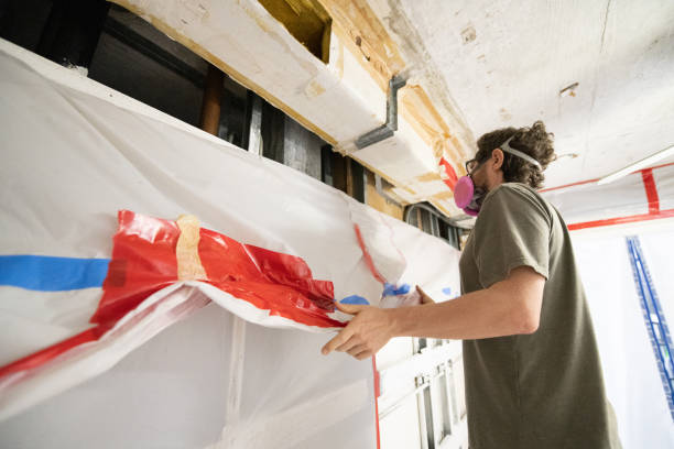 Reliable Camanche, IA Mold Removal Solutions