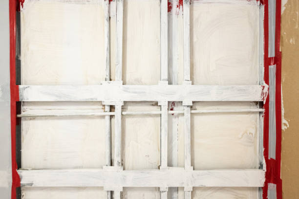 Forensic Mold Investigation in Camanche, IA