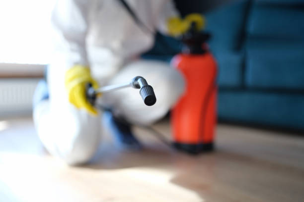 Best Airborne Mold Testing  in Camanche, IA