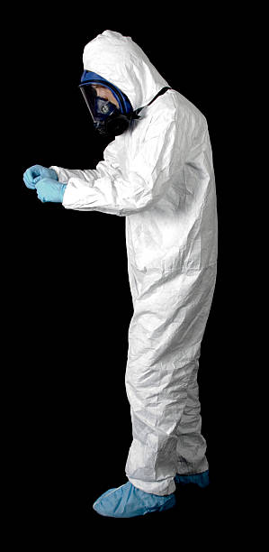 Best Black Mold Removal  in Camanche, IA